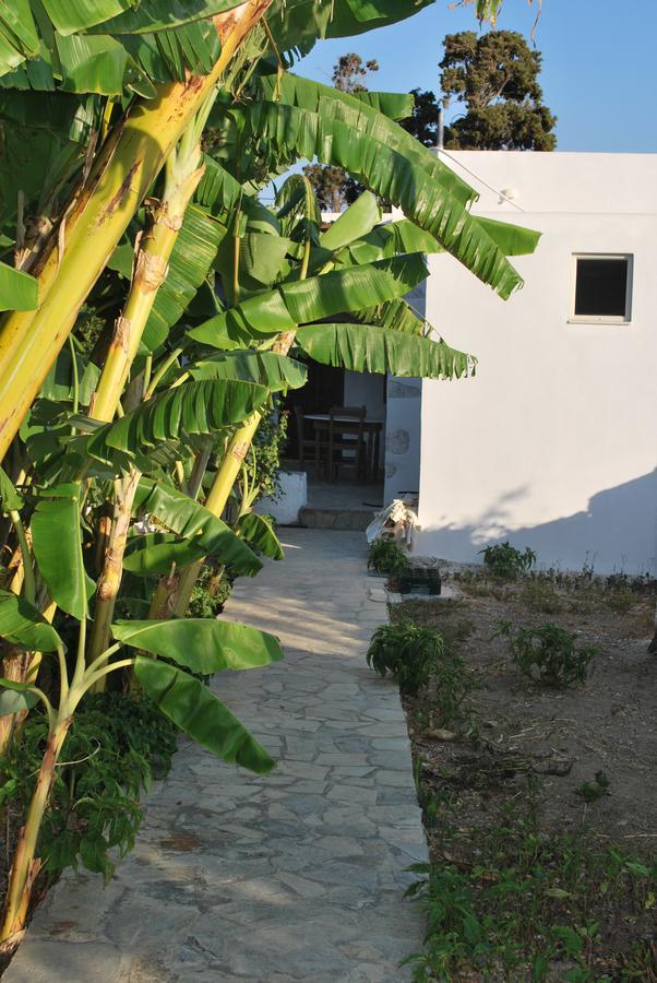Anixi Apartment Astypalaia Exterior photo